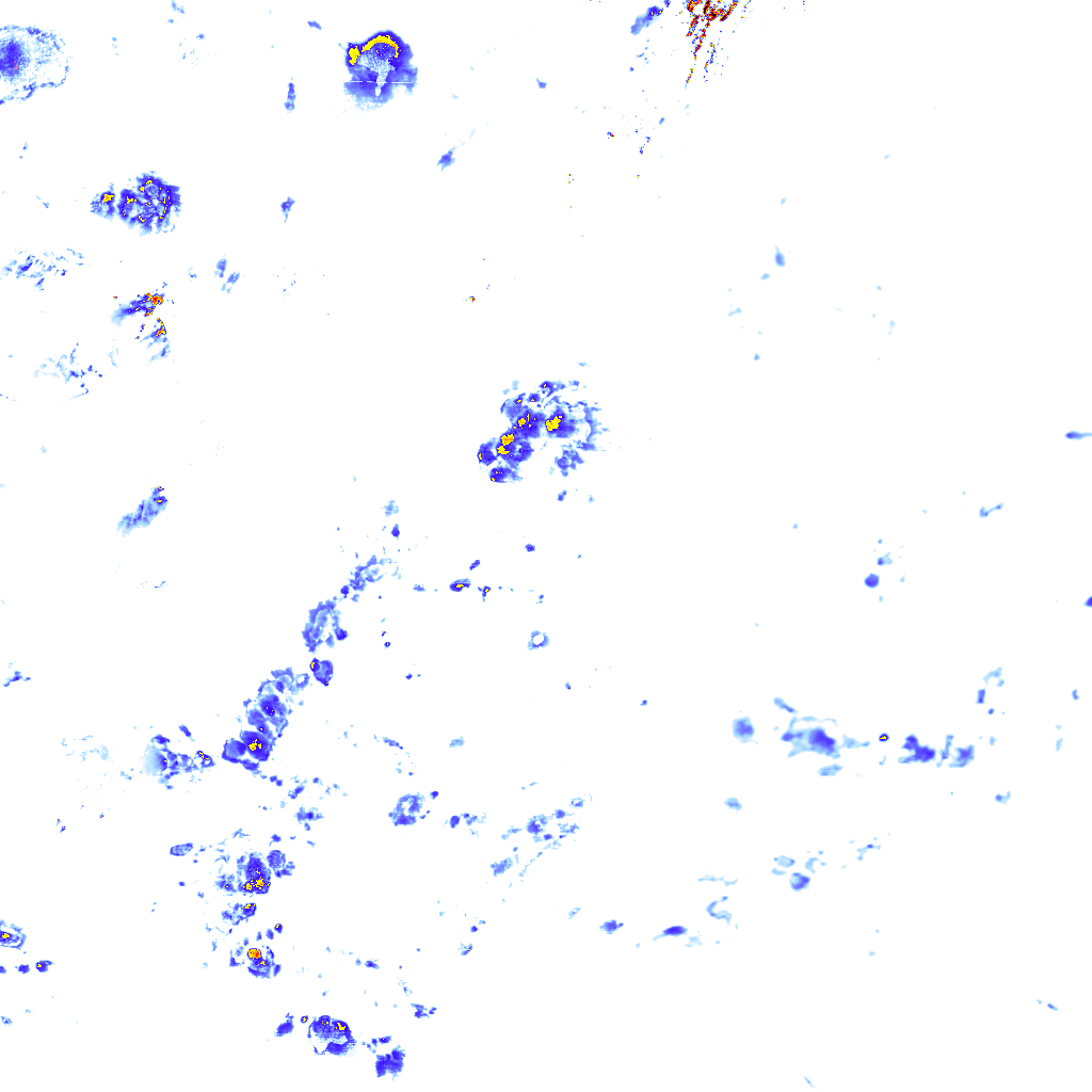 rainLayer