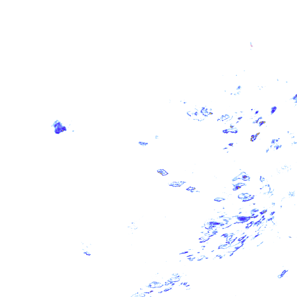 rainLayer