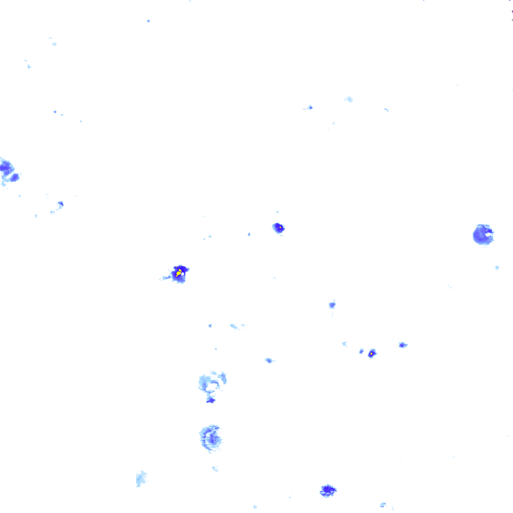 rainLayer