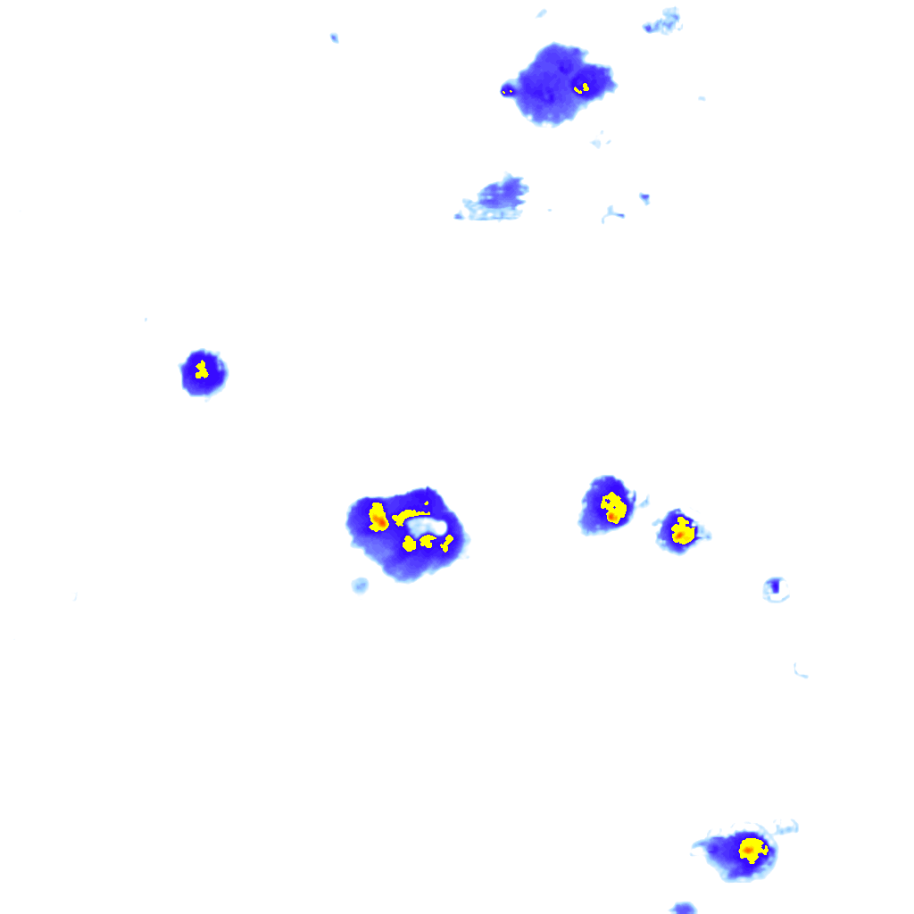 Image Layer