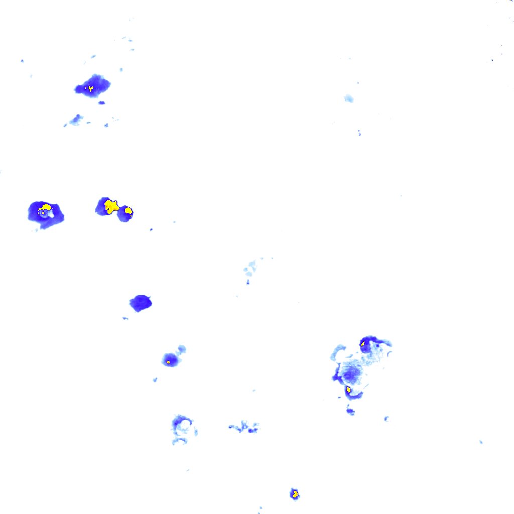 Image Layer