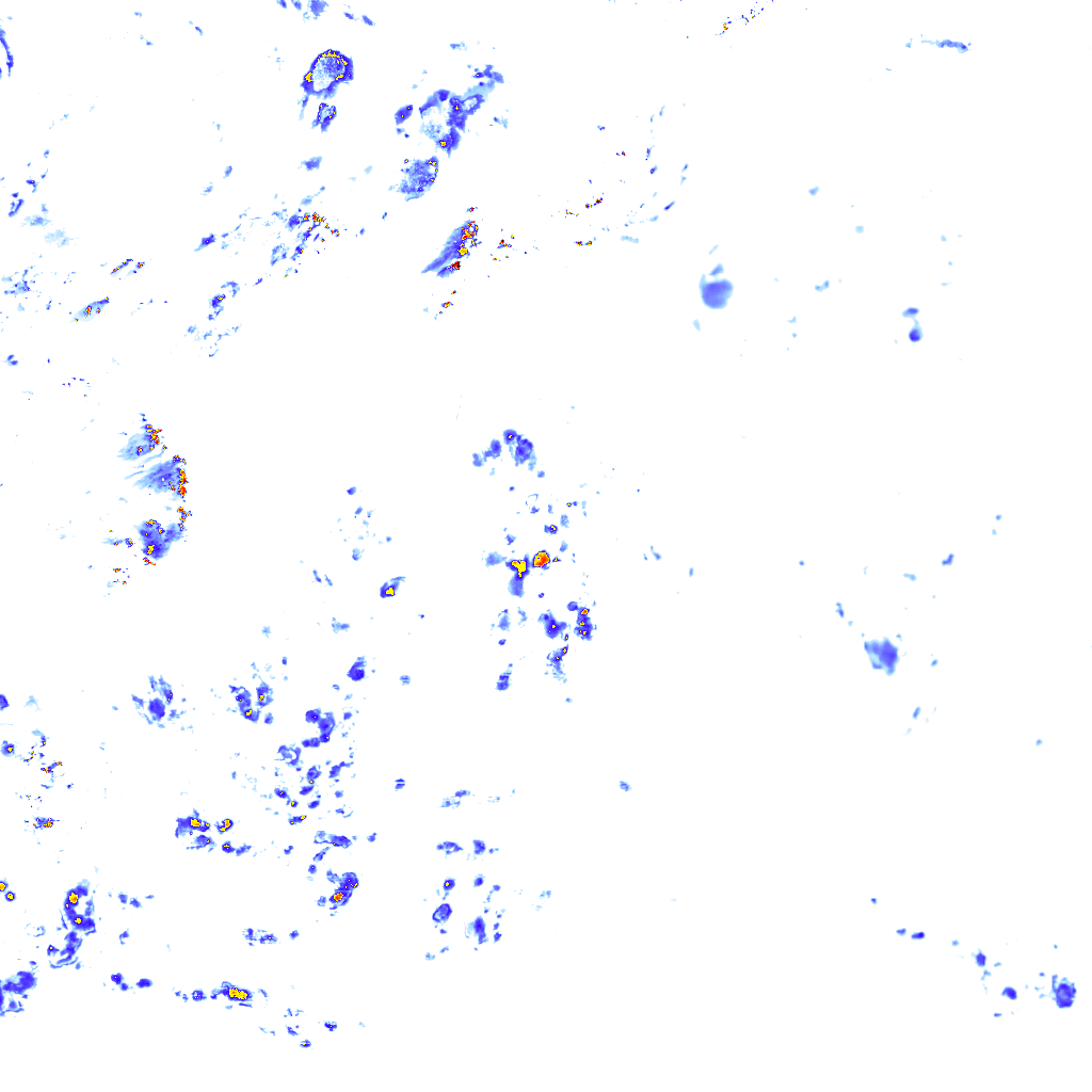 rainLayer