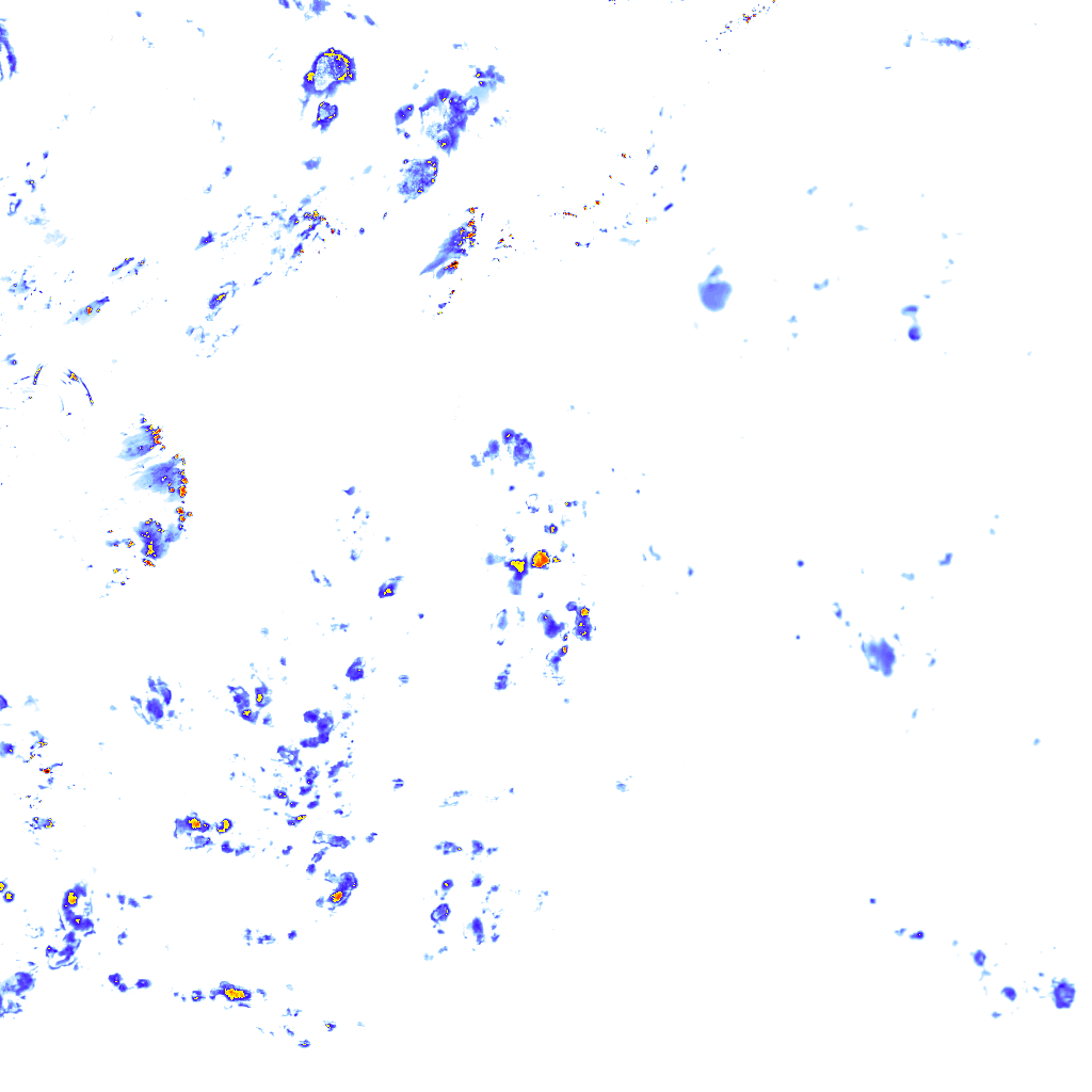 rainLayer