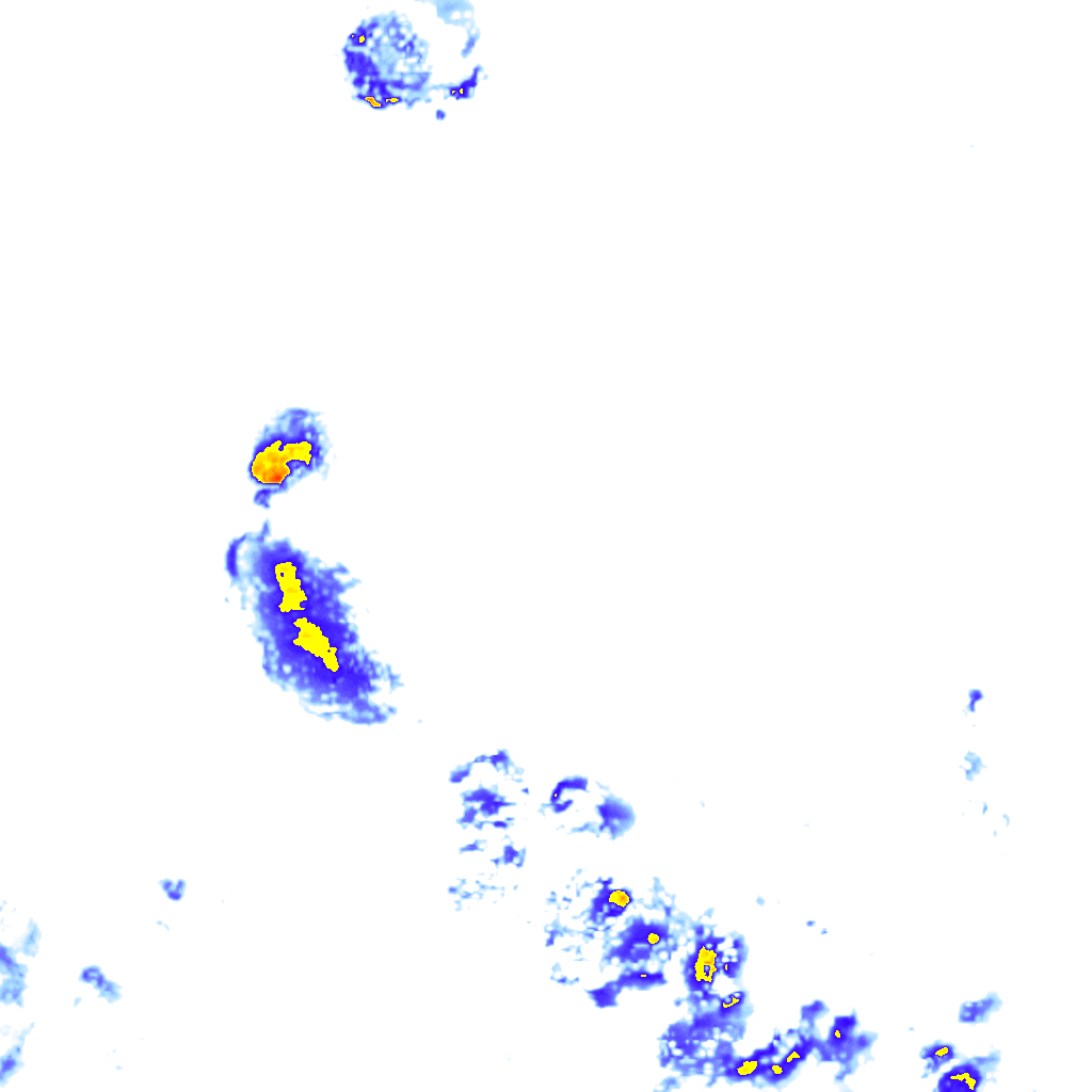 rainLayer