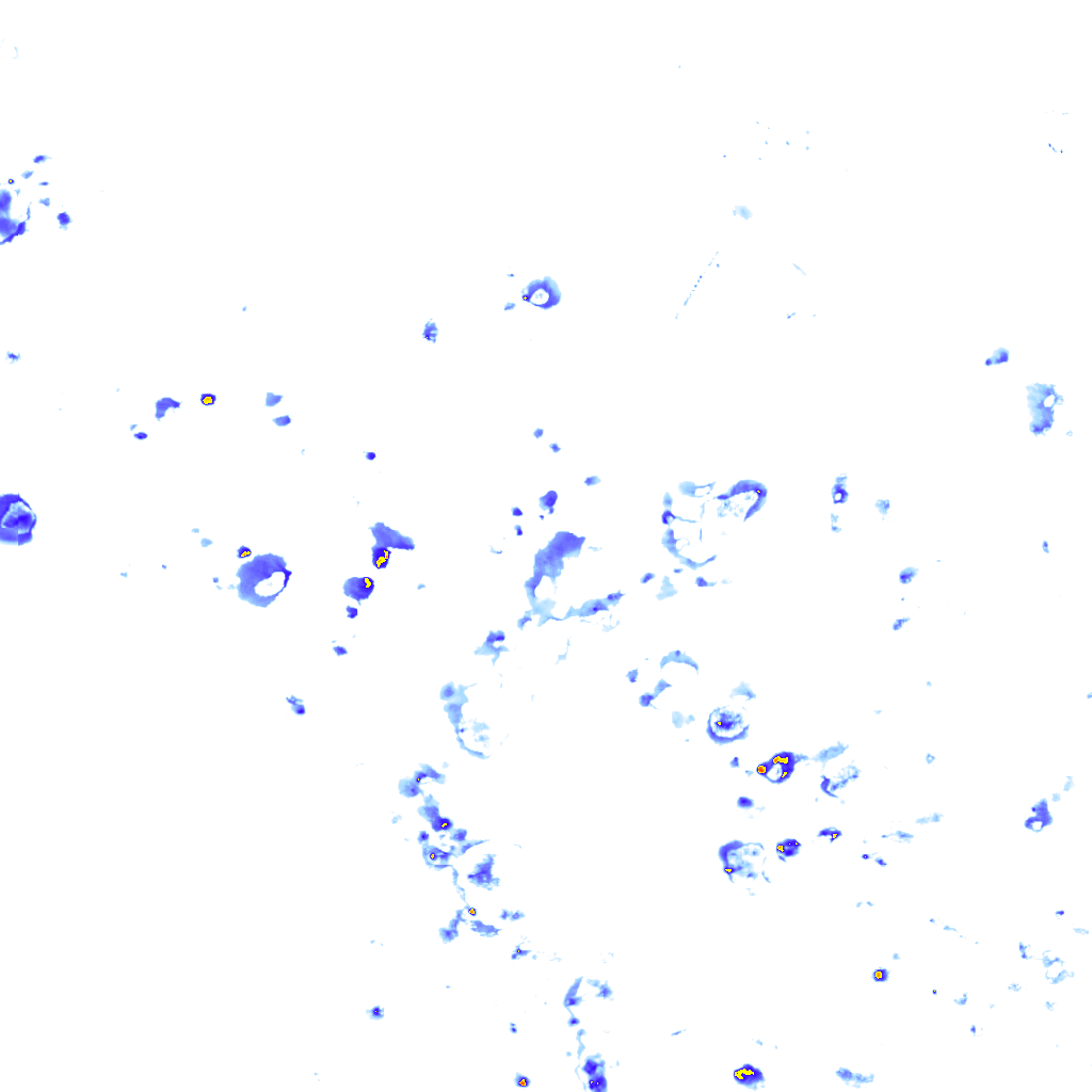 rainLayer