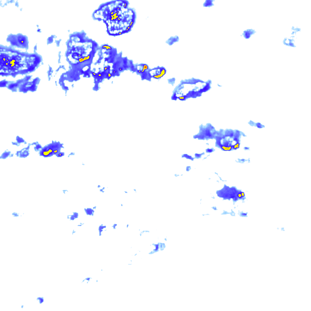 rainLayer
