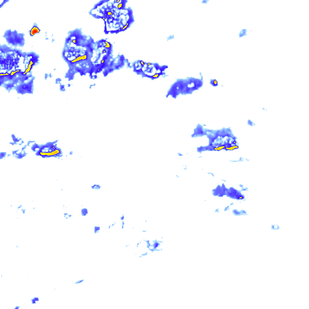 rainLayer