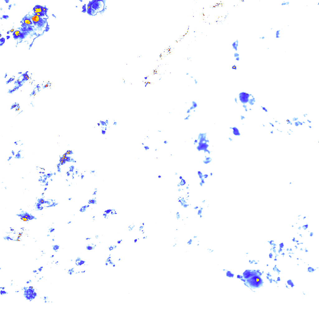 rainLayer