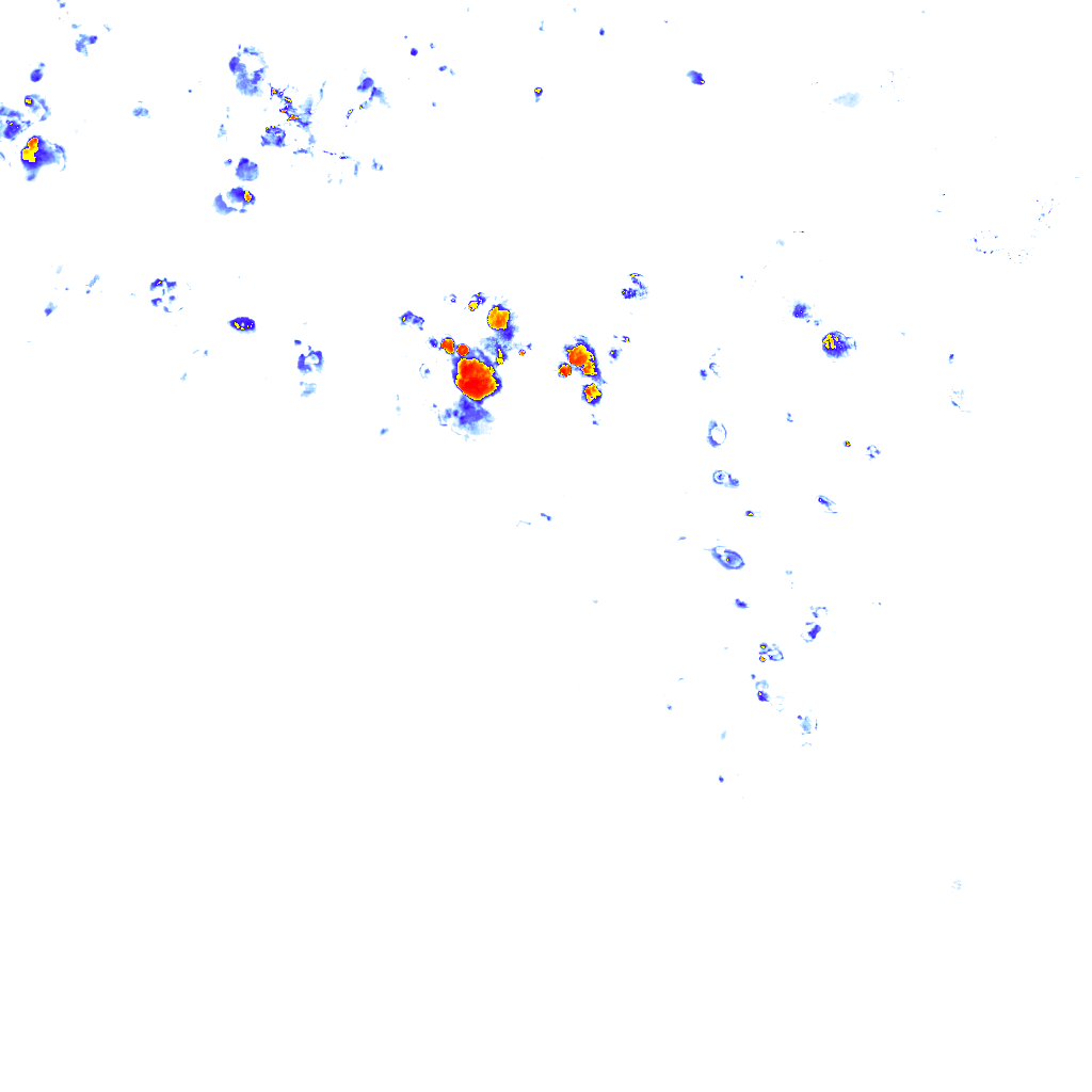 rainLayer