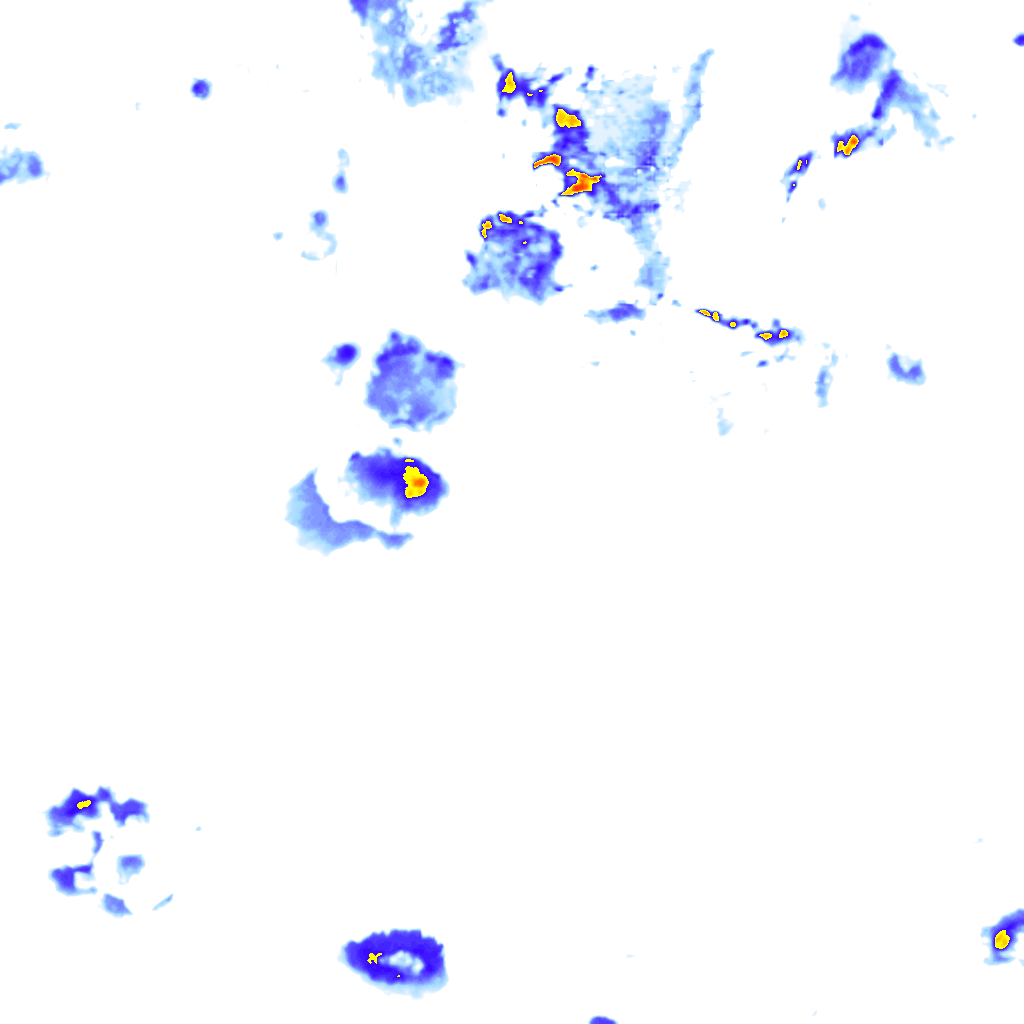 Image Layer