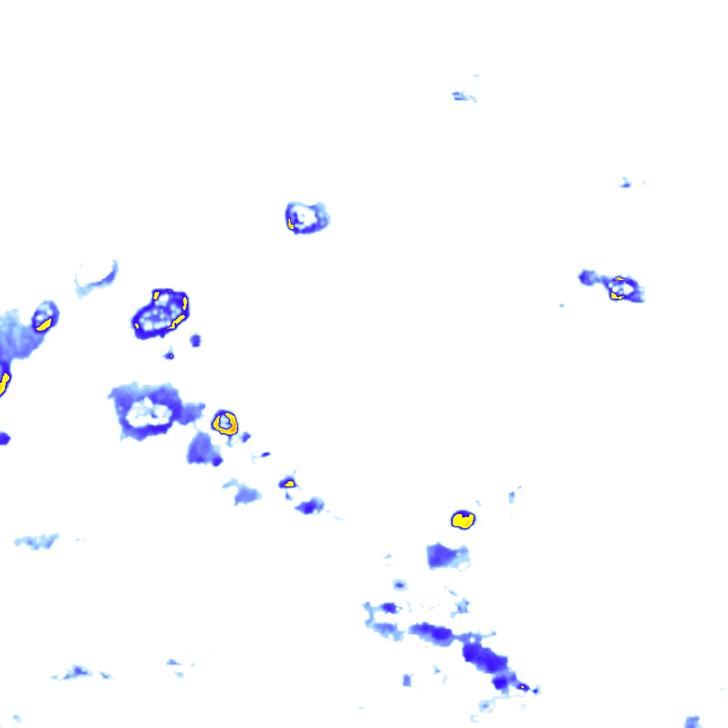 rainLayer