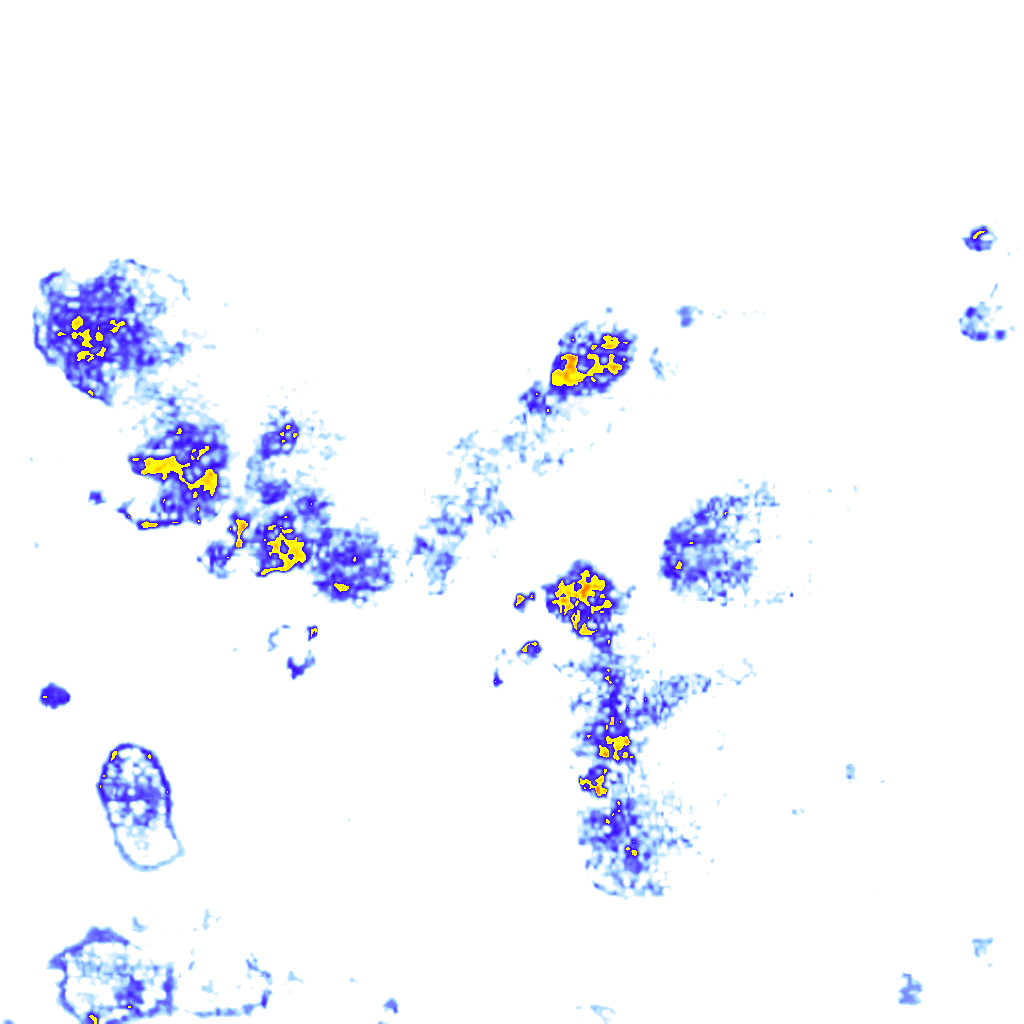 rainLayer