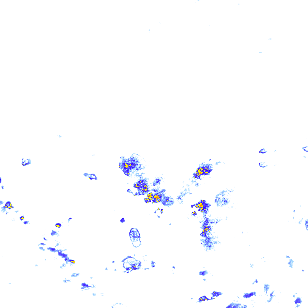 rainLayer
