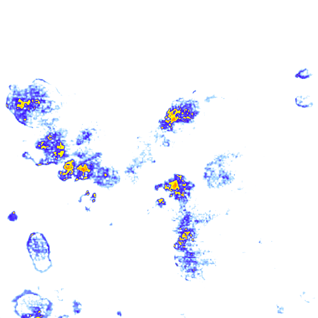 rainLayer