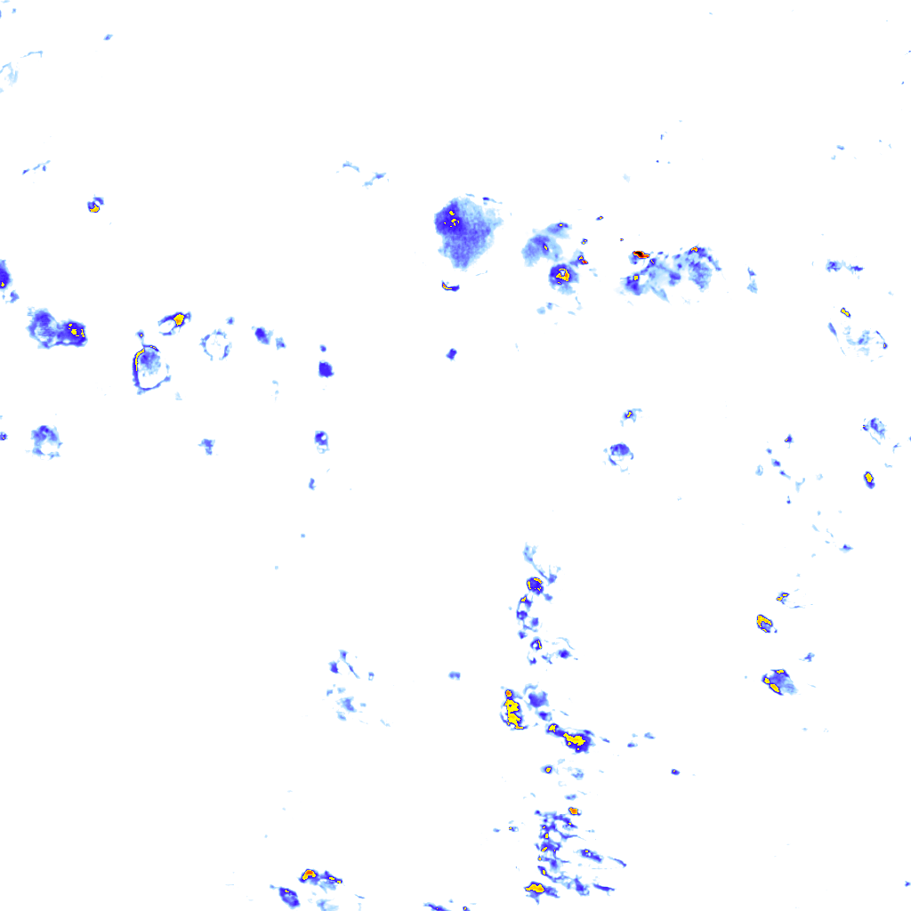 Image Layer