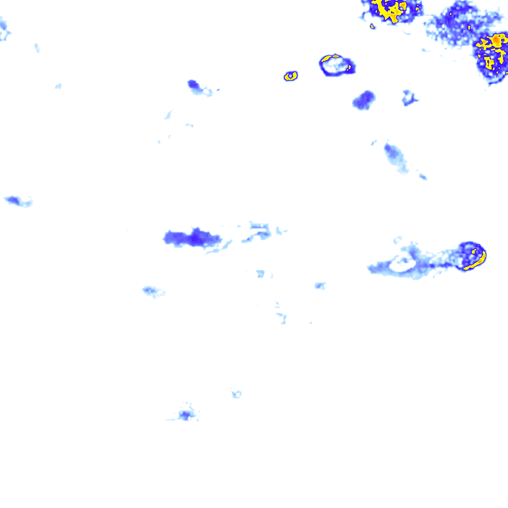 rainLayer