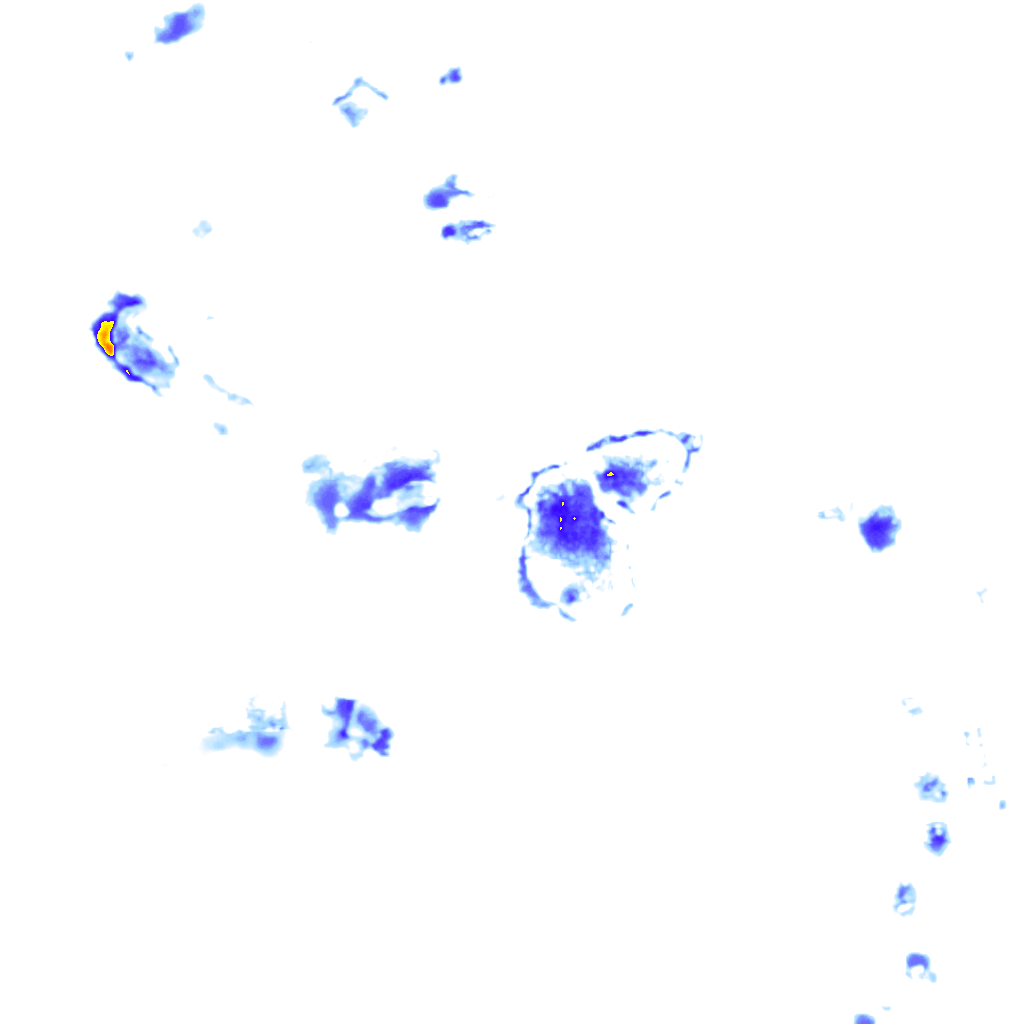Image Layer