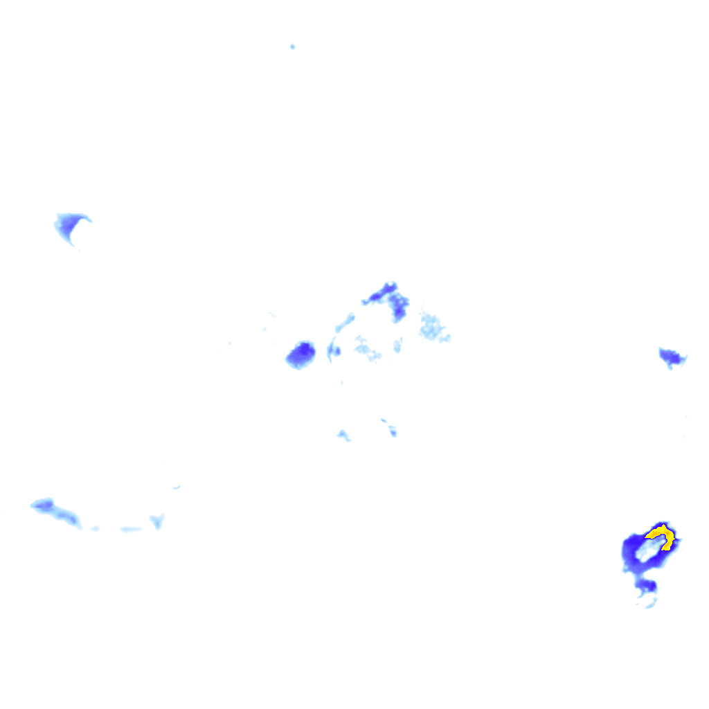 rainLayer