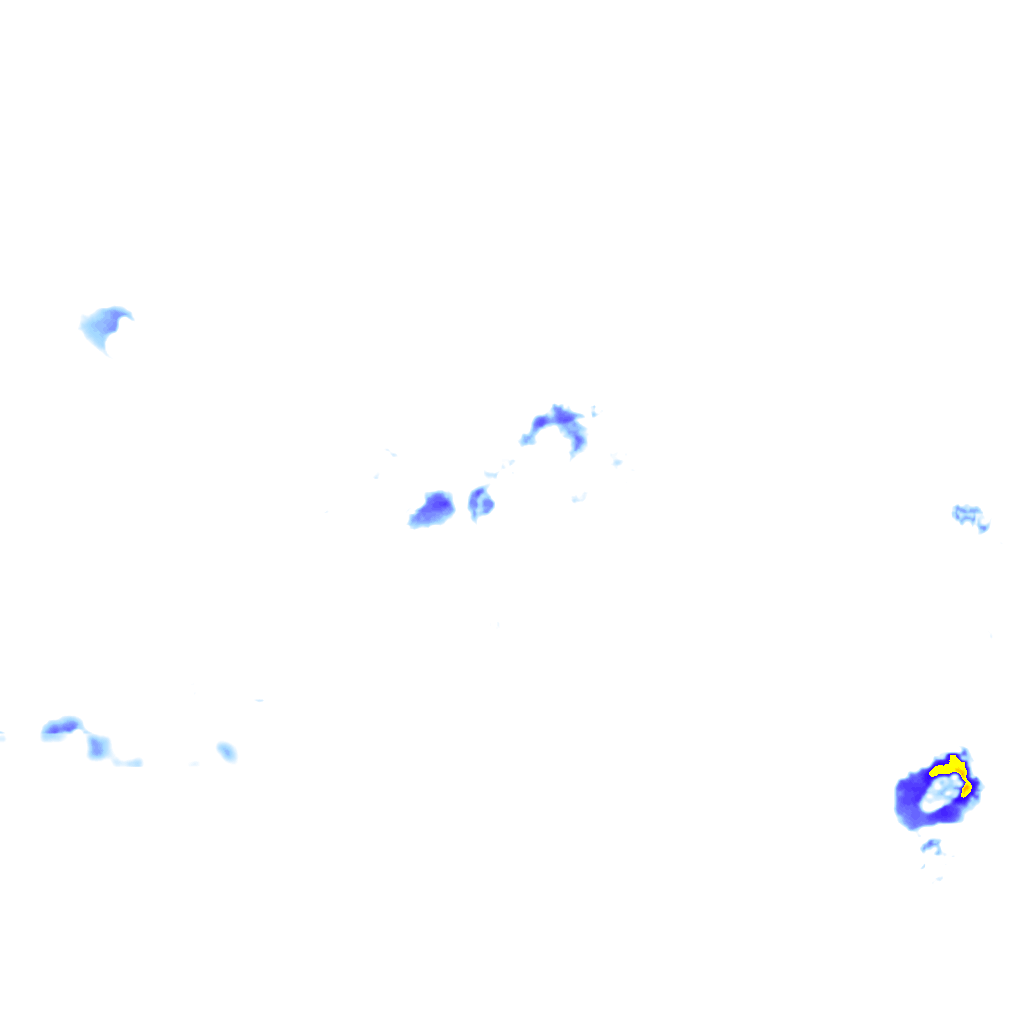 rainLayer