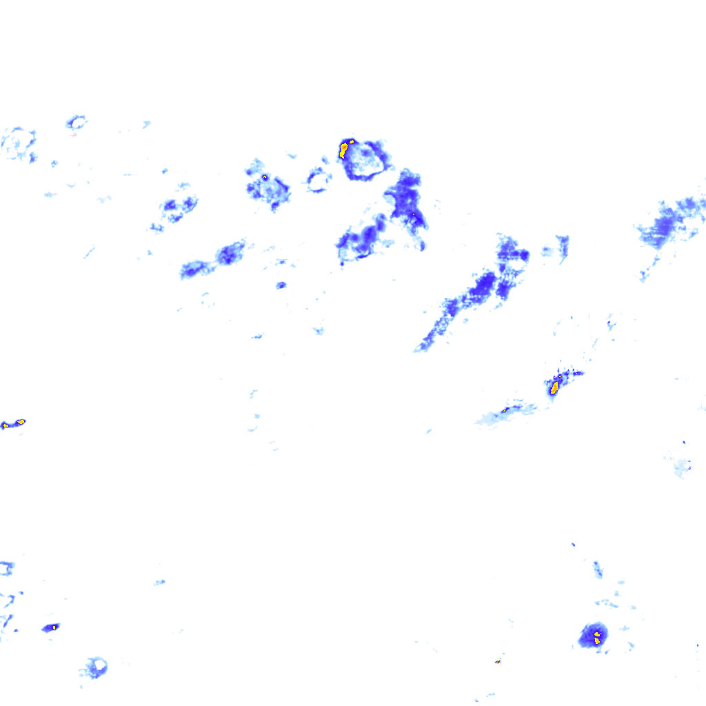 rainLayer