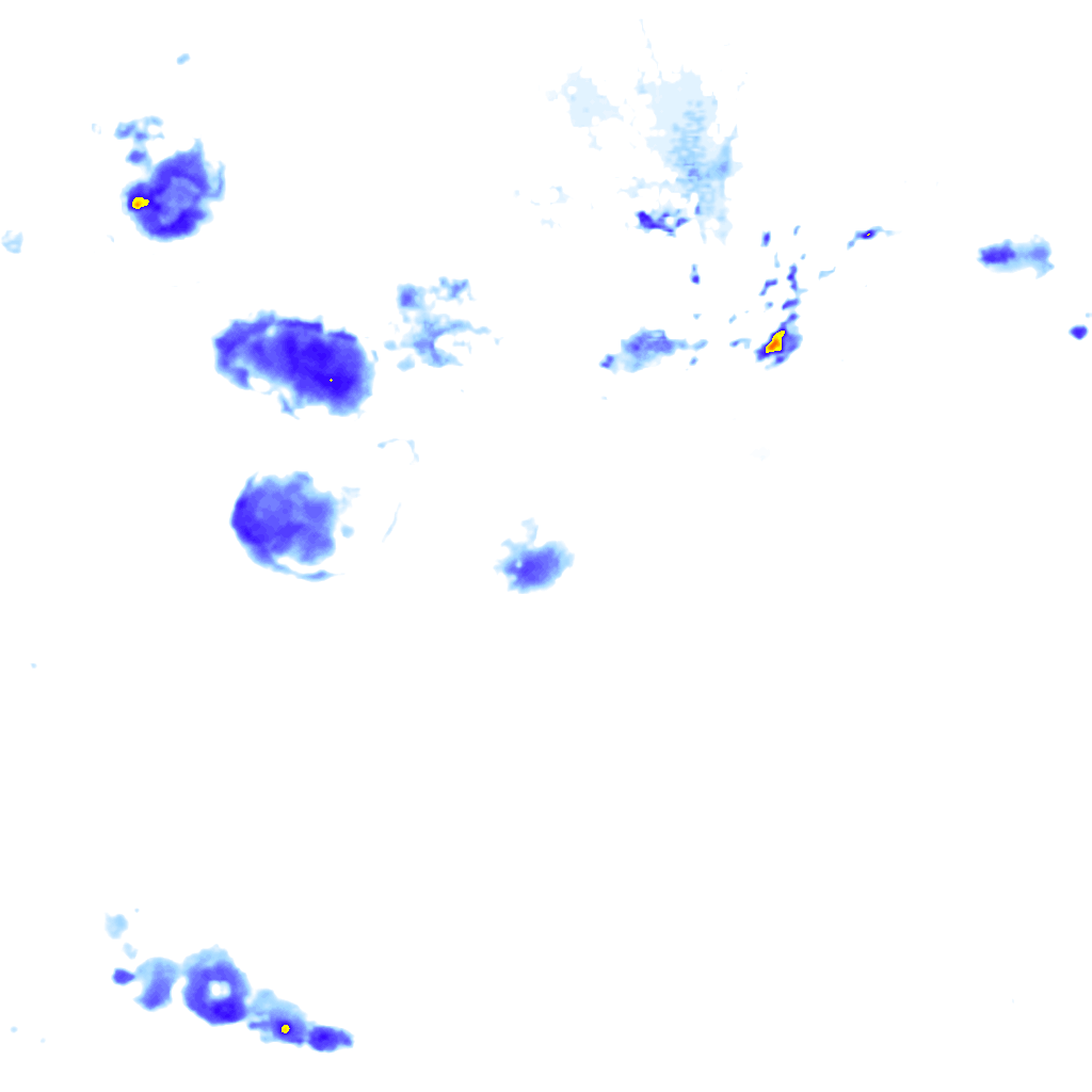 Image Layer