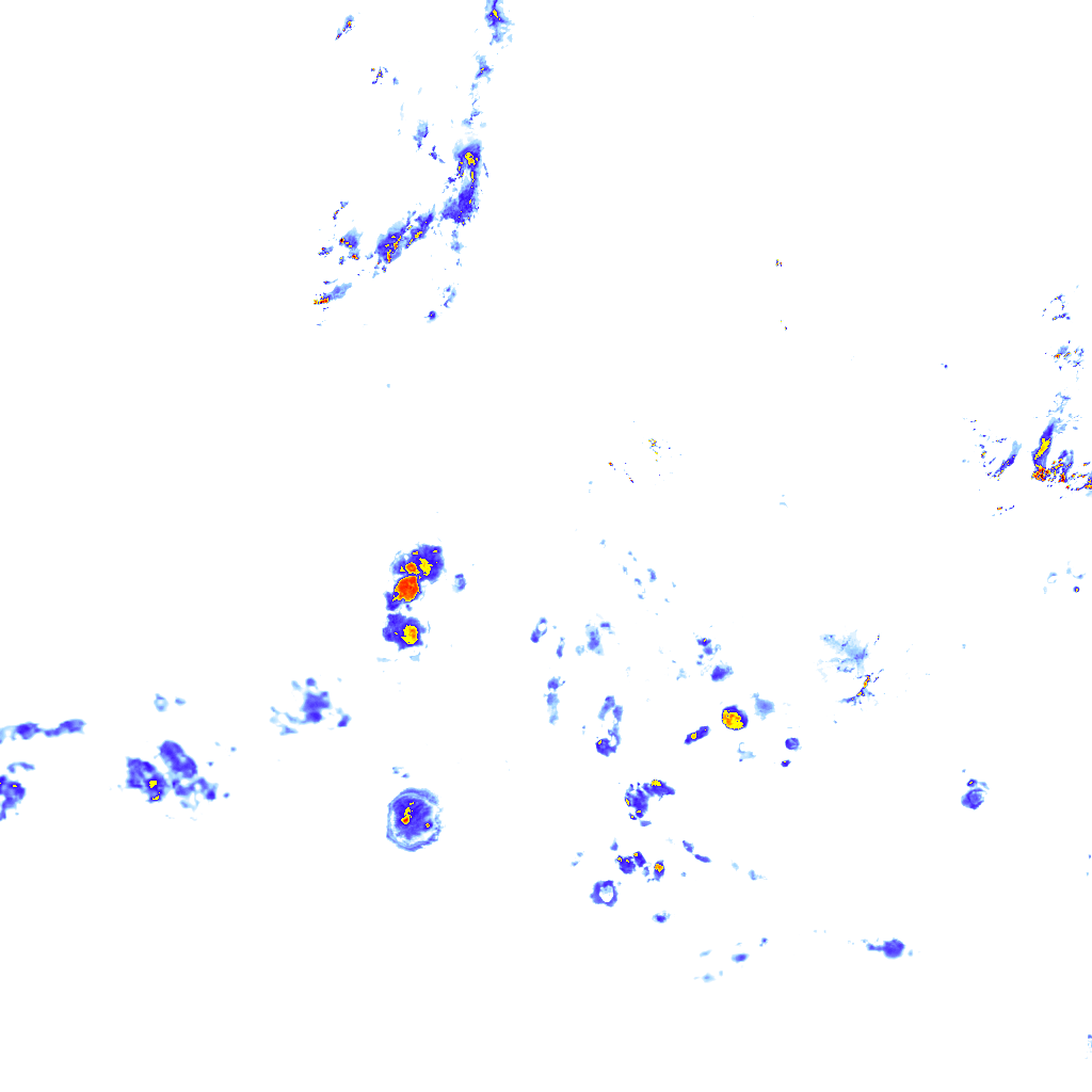 Image Layer