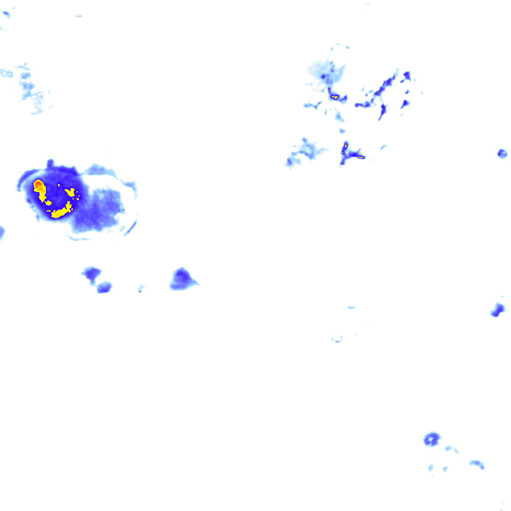 rainLayer