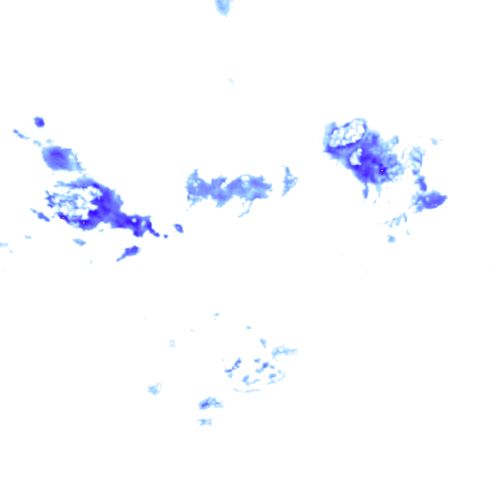 Image Layer
