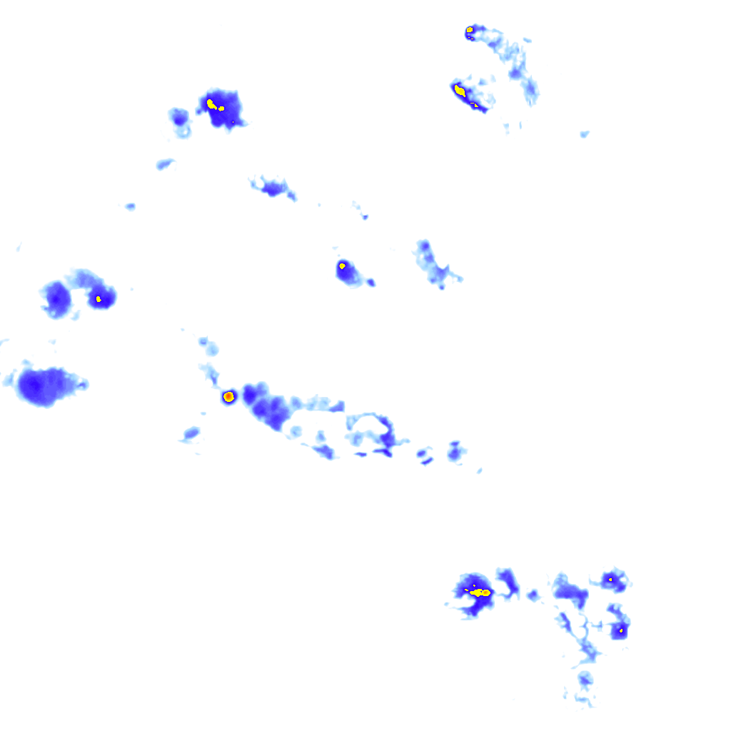 Image Layer