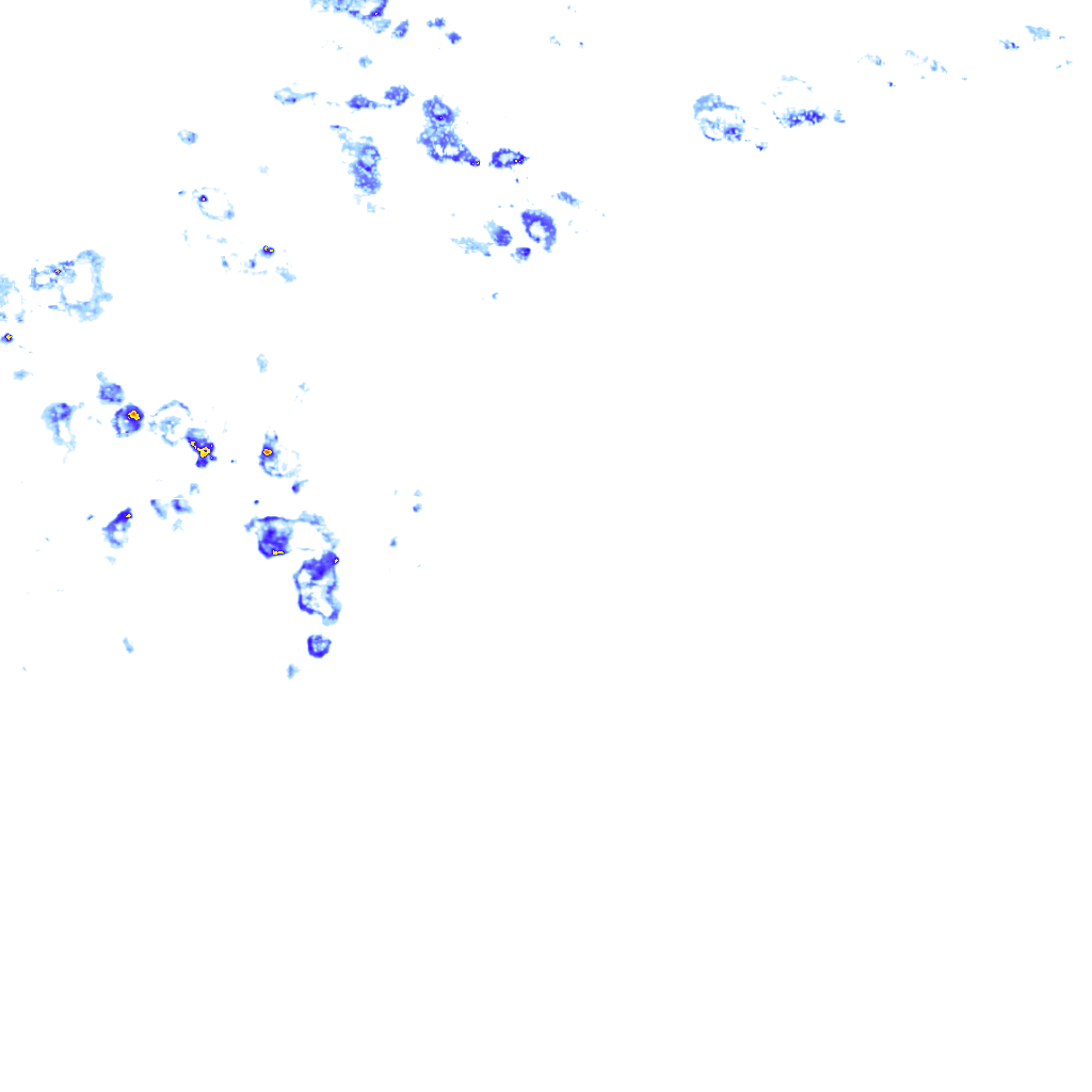 rainLayer