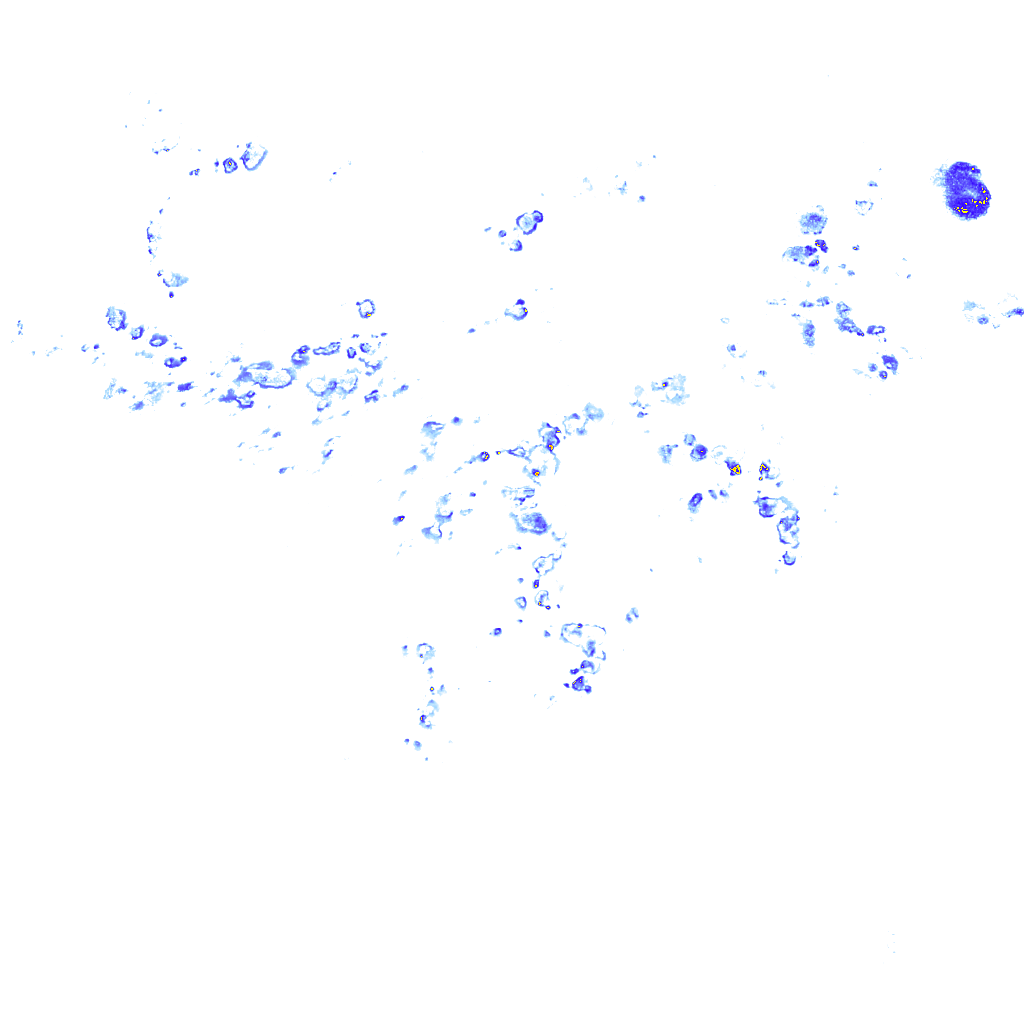 rainLayer