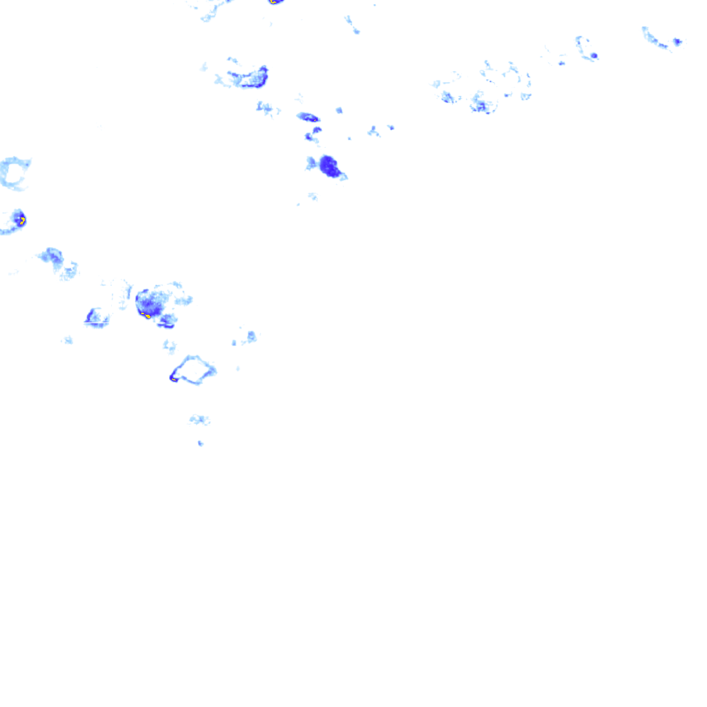 rainLayer