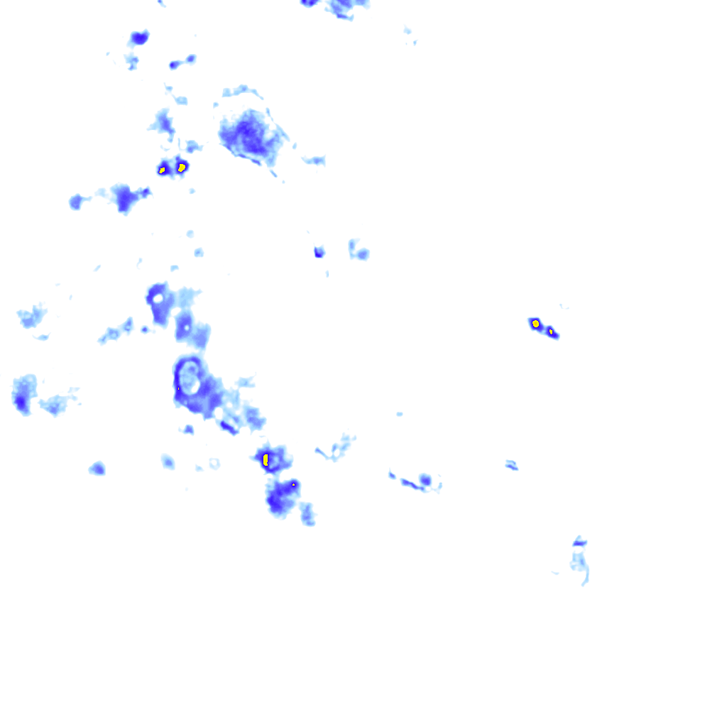 Image Layer