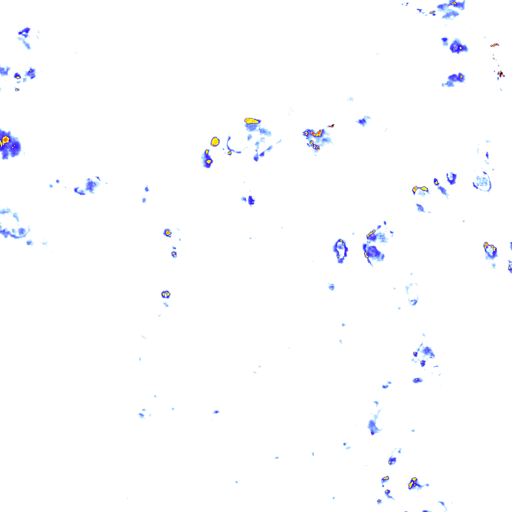 rainLayer