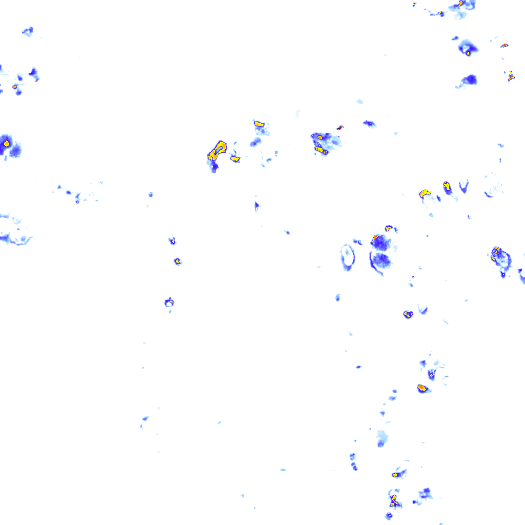 rainLayer