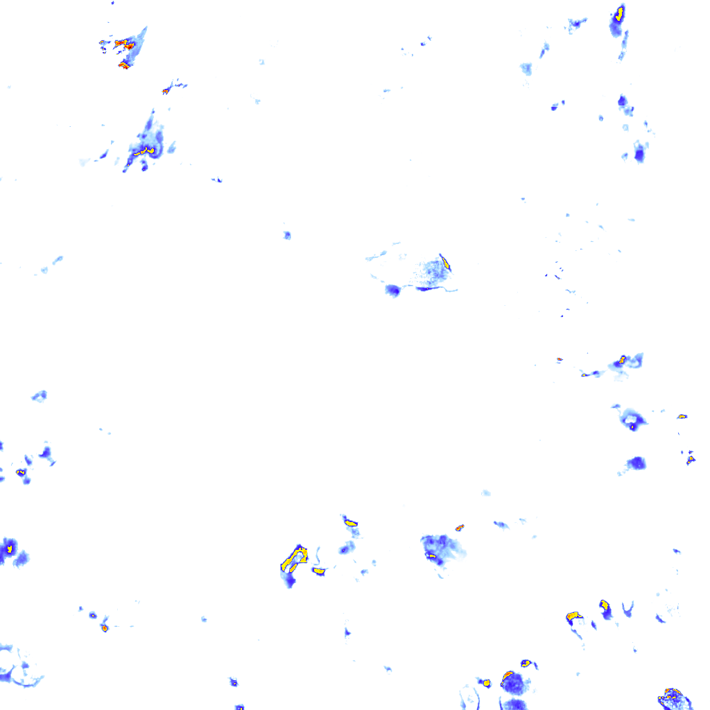 Image Layer