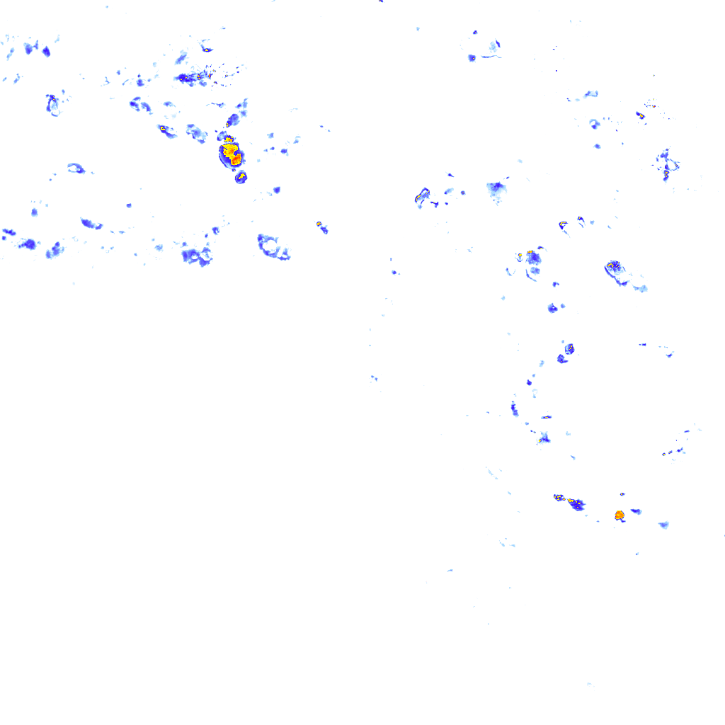 rainLayer