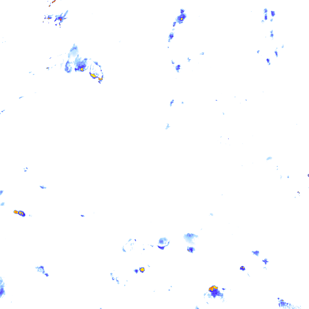 rainLayer