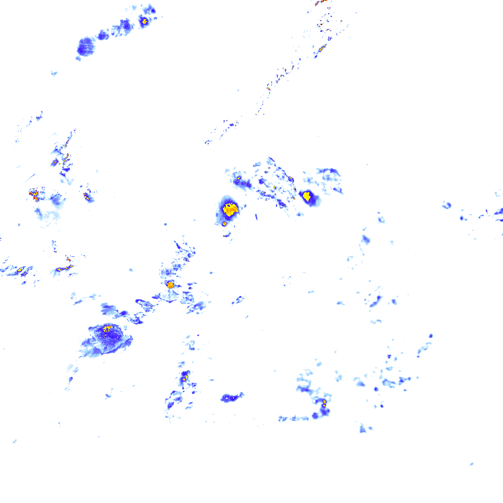 rainLayer