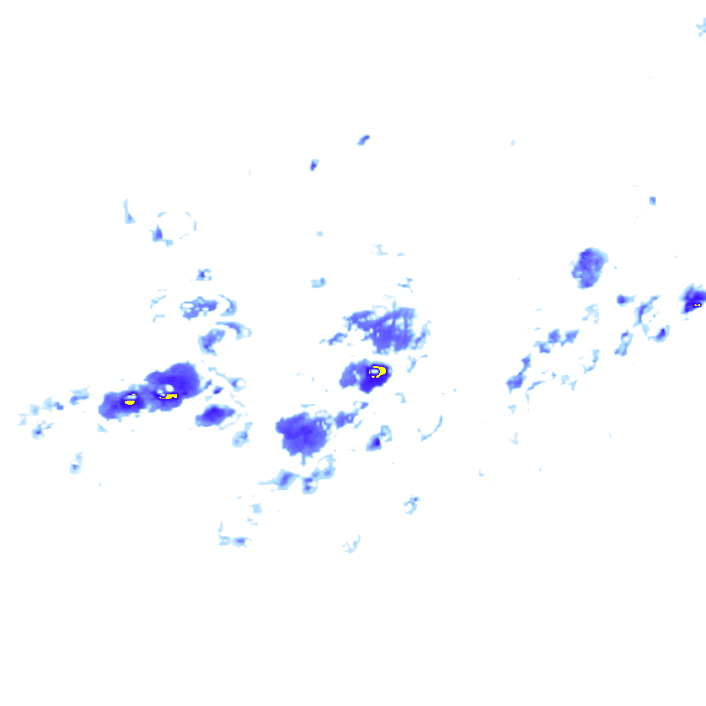 rainLayer