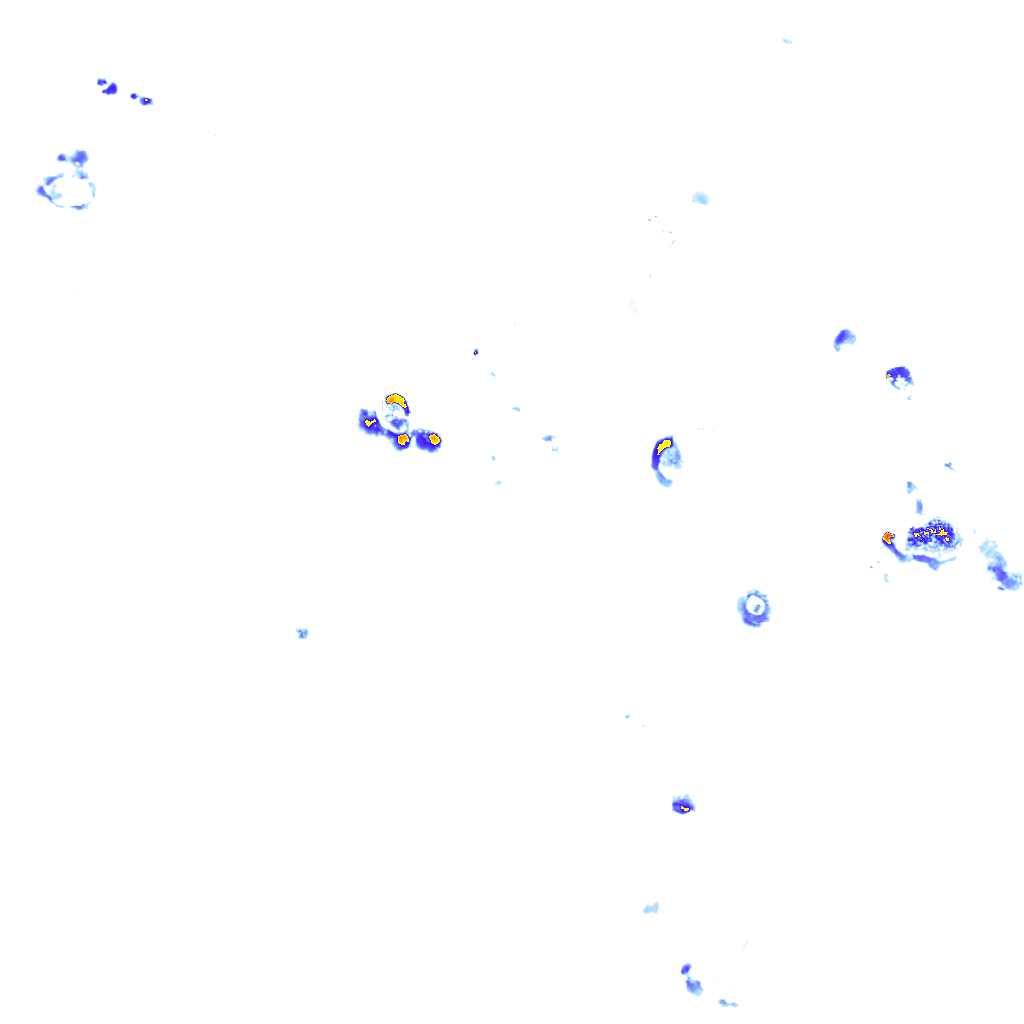 rainLayer