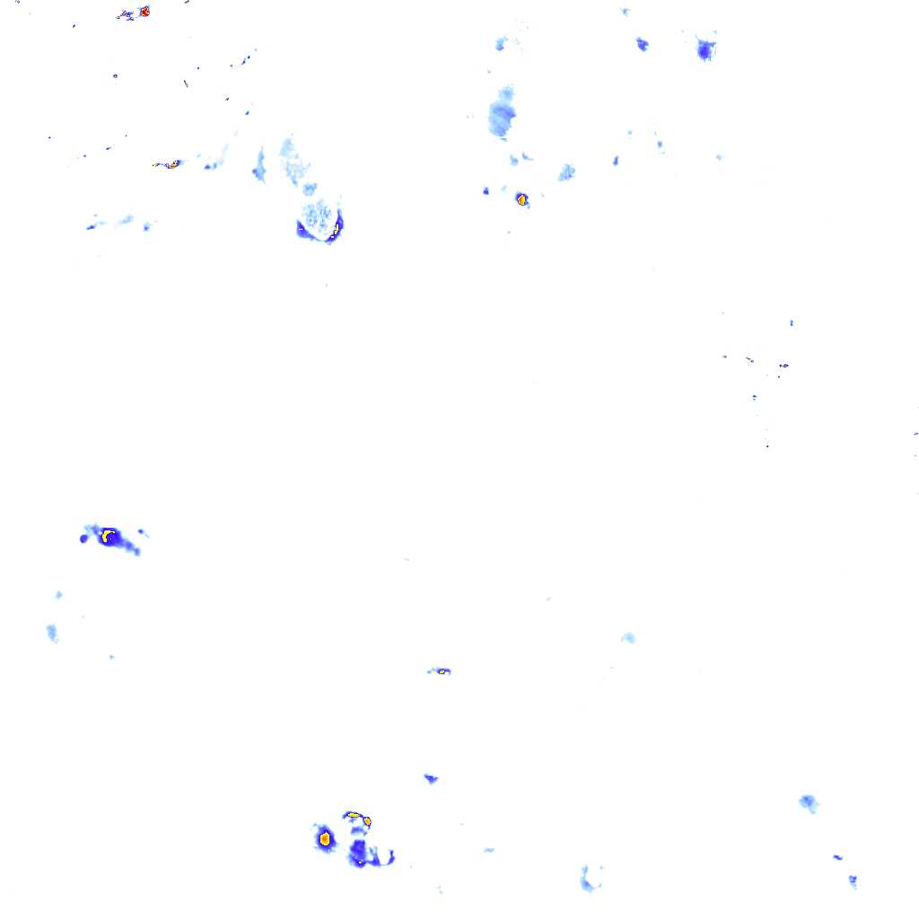 rainLayer