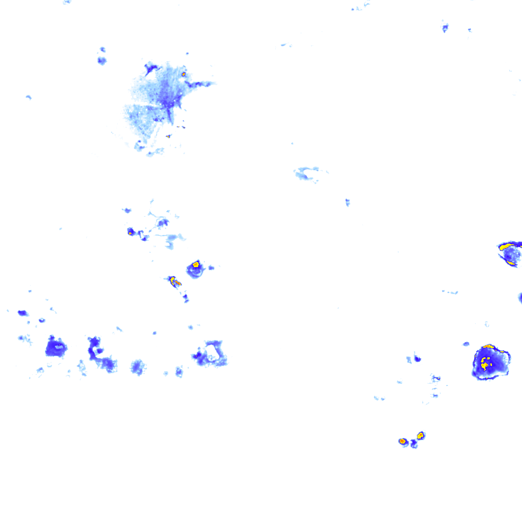 Image Layer