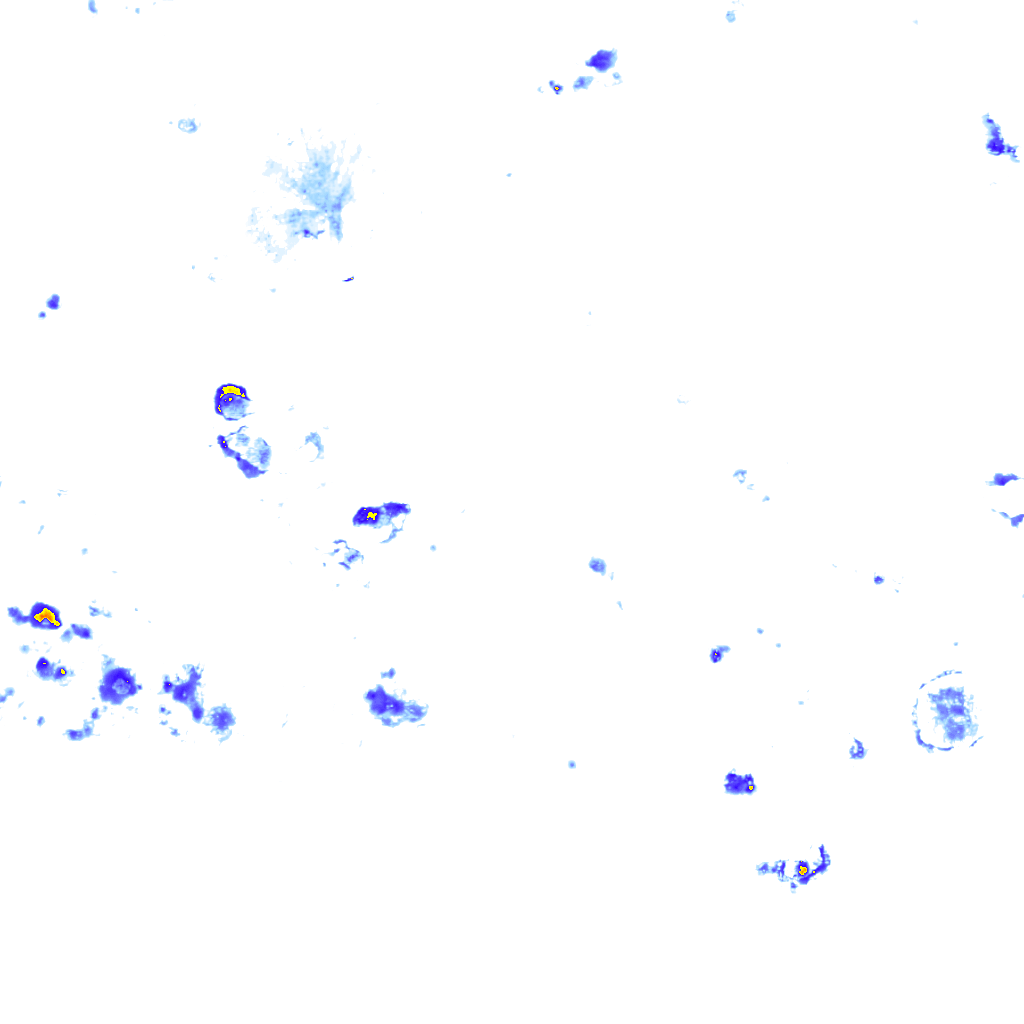 rainLayer