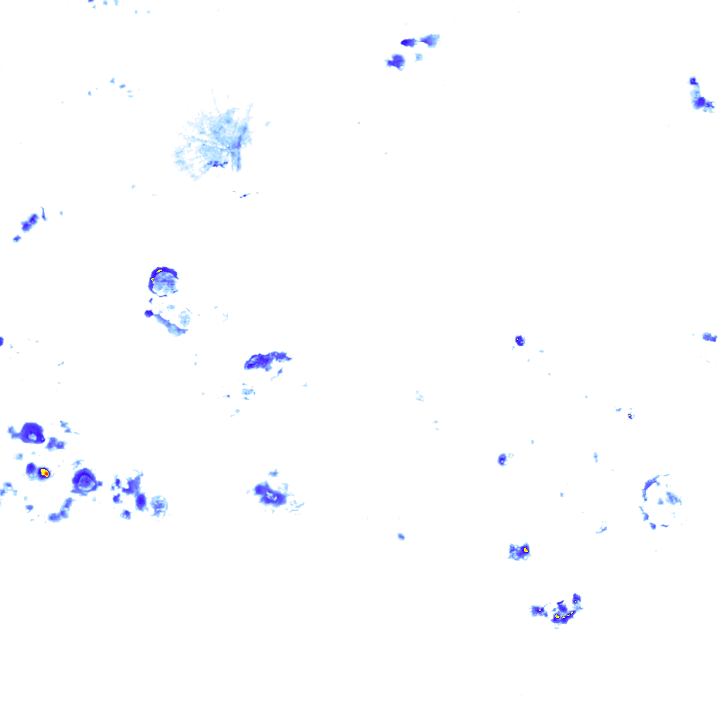 Image Layer
