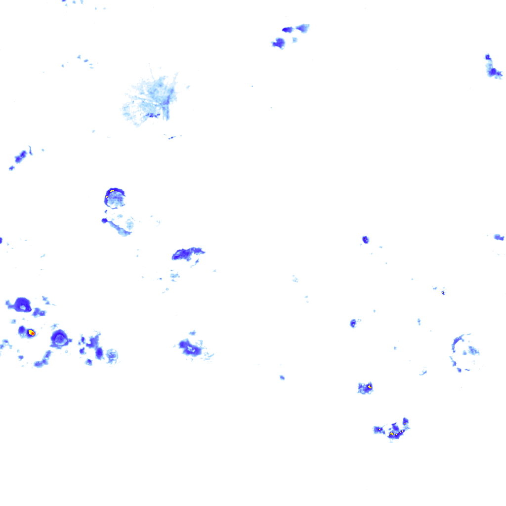 rainLayer
