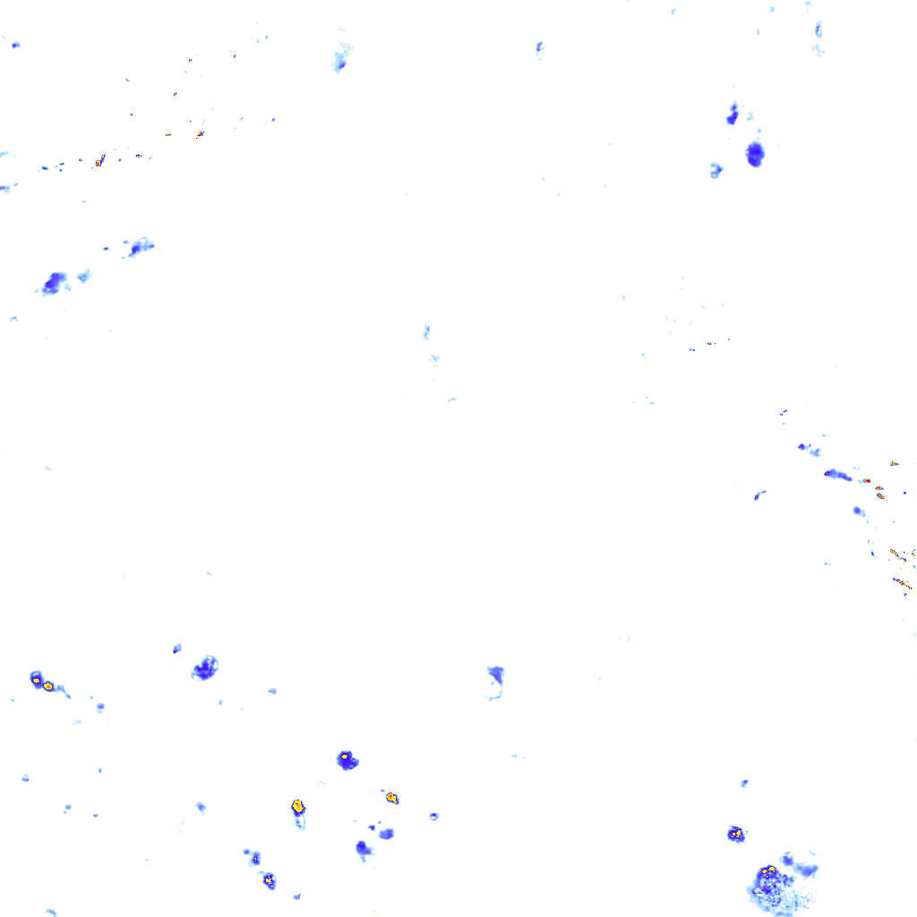 rainLayer