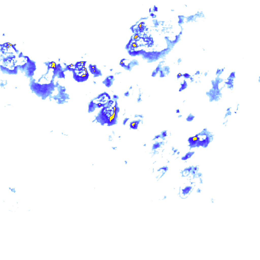 Image Layer