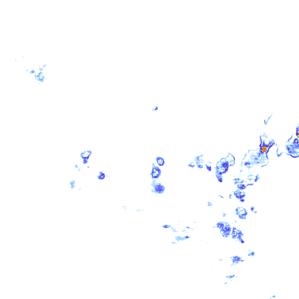 rainLayer