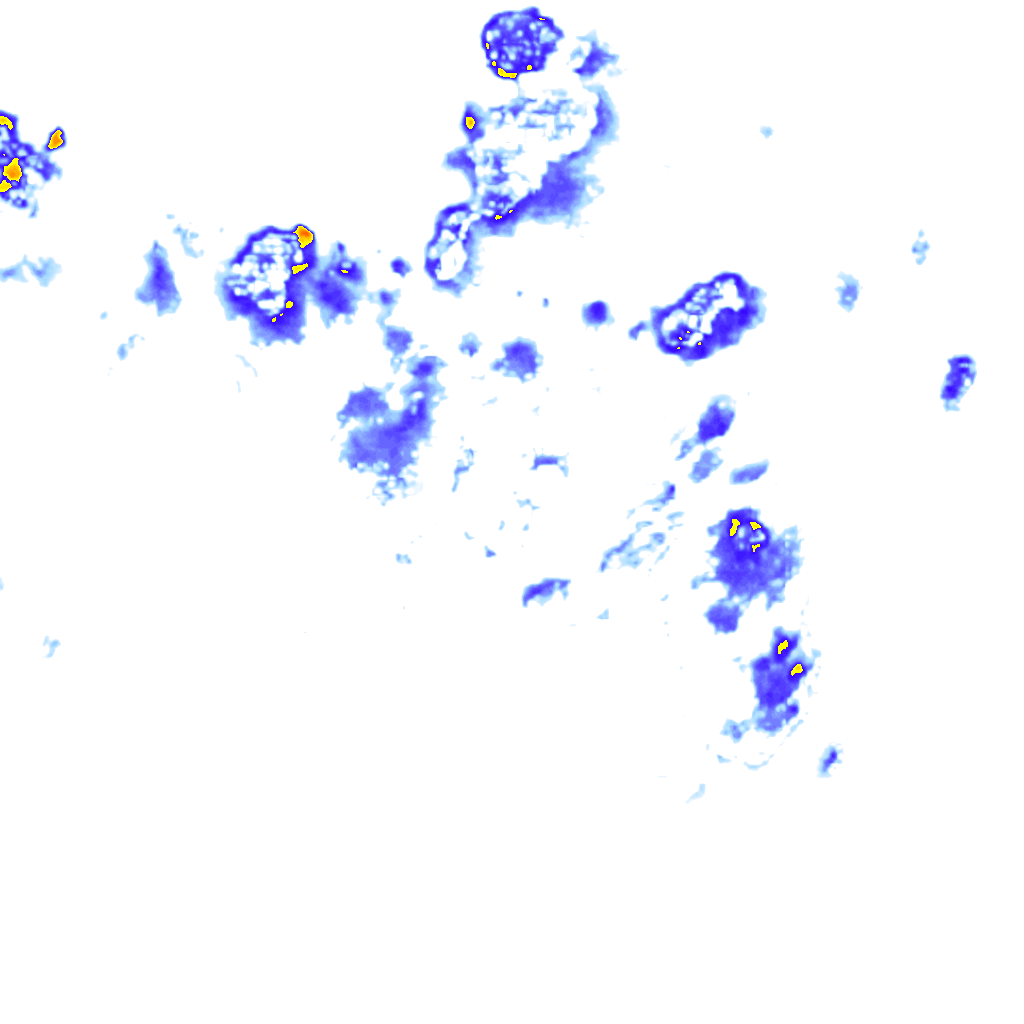 rainLayer